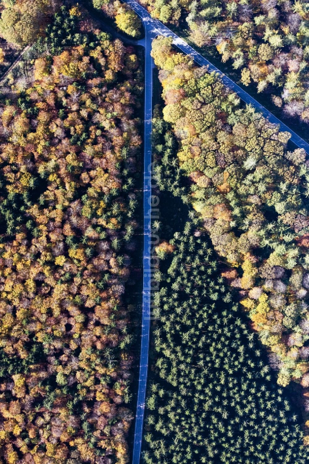 Bacharach aus der Vogelperspektive: Senkrechtes Herbstluftbild mit einer Straßenführung in einem Waldgebiet in Bacharach im Bundesland Rheinland-Pfalz, Deutschland