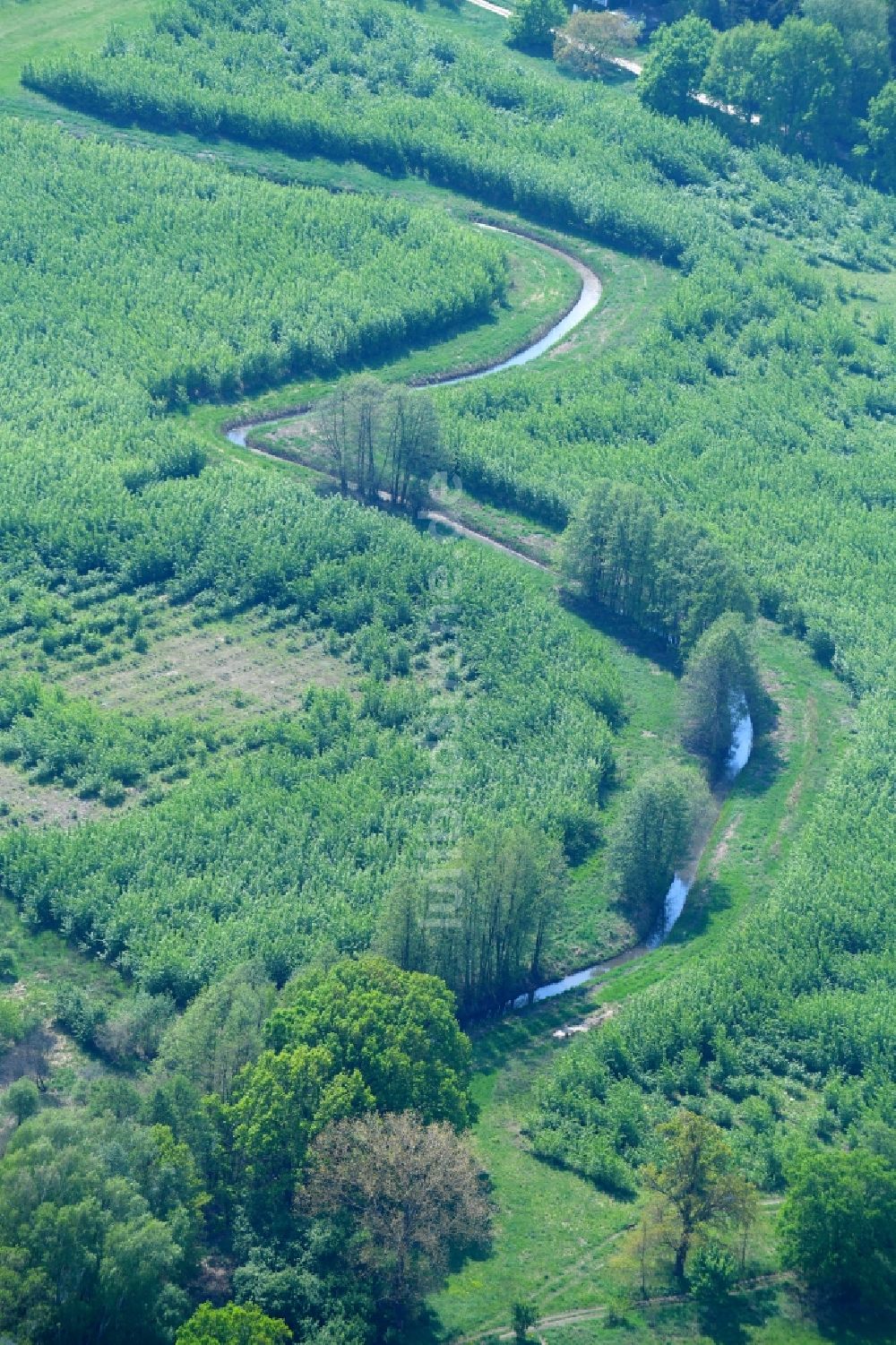 Leegebruch von oben - Serpentinenförmiger Kurvenverlauf eines Bach - Flüsschens Moorgraben in Leegebruch im Bundesland Brandenburg, Deutschland