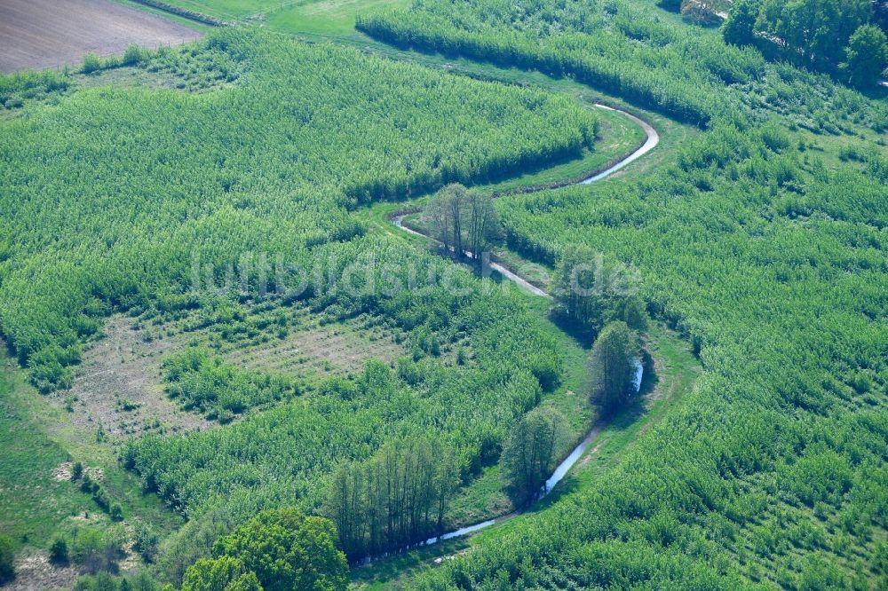 Luftbild Leegebruch - Serpentinenförmiger Kurvenverlauf eines Bach - Flüsschens Moorgraben in Leegebruch im Bundesland Brandenburg, Deutschland