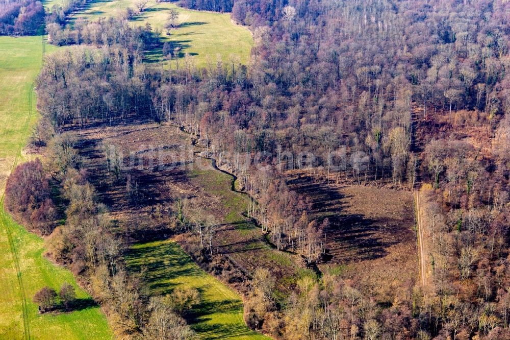 Luftbild Rohrbach - Serpentinenförmiger Kurvenverlauf des Klingbach im Vorfrühling in Rohrbach im Bundesland Rheinland-Pfalz, Deutschland