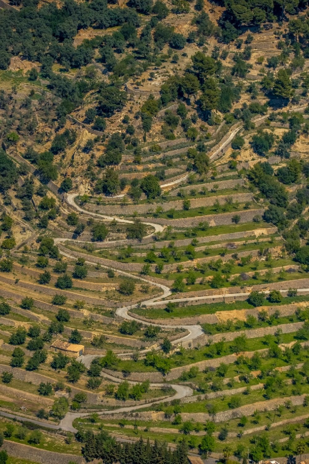 Bunyola von oben - Serpentinenförmiger Kurvenverlauf einer Straßenführung in Bunyola in Balearische Insel Mallorca, Spanien