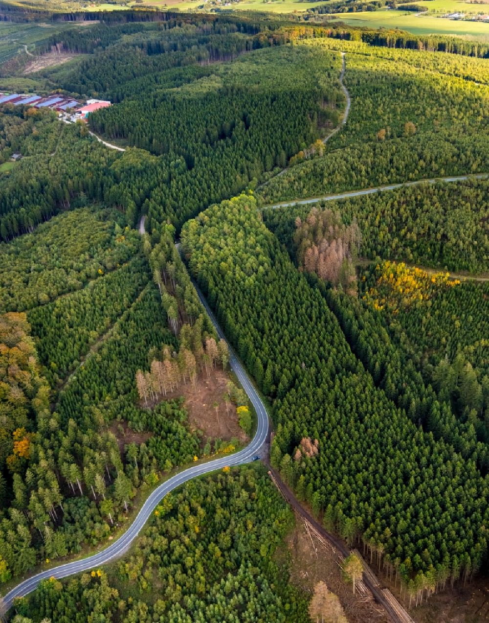 Luftbild Sundern (Sauerland) - Serpentinenförmiger Kurvenverlauf einer Straßenführung der Landstraße L839 in Sundern (Sauerland) im Bundesland Nordrhein-Westfalen, Deutschland