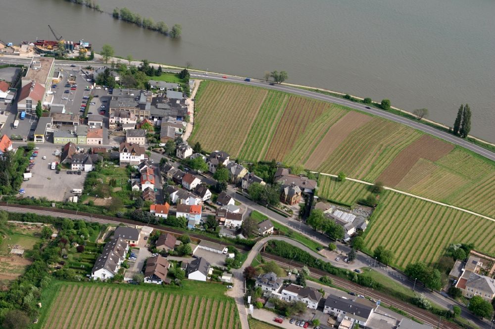 Oestrich-Winkel von oben - Siedlungen am Rheinufer in Oestrich-Winkel im Bundesland Hessen