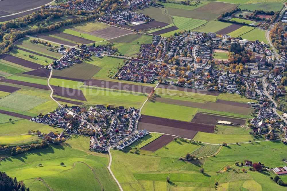 Stegen aus der Vogelperspektive: Siedlungsgebiet in Stegen im Bundesland Baden-Württemberg, Deutschland