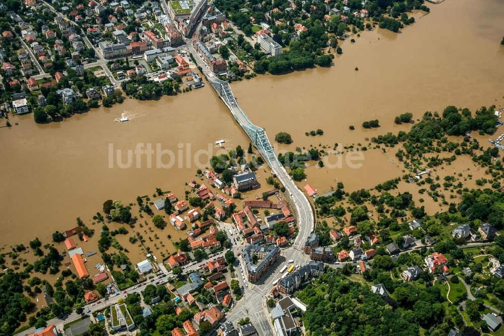 Luftbild Dresden - Situation während und nach dem Hochwasser am Ufer der Elbe in den Ortsteilen Blasewitz und Loschwitz in Dresden im Bundesland Sachsen