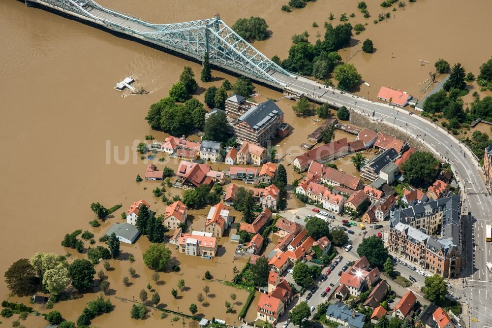 Luftaufnahme Dresden - Situation während und nach dem Hochwasser am Ufer der Elbe in den Ortsteilen Blasewitz und Loschwitz in Dresden im Bundesland Sachsen
