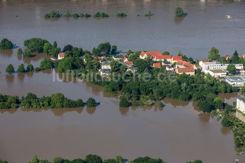 Luftaufnahme Dresden - Situation während und nach dem Hochwasser am Ufer der Elbe im Stadtteil Tolkewitz in Dresden im Bundesland Sachsen