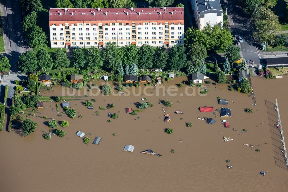 Dresden von oben - Situation während und nach dem Hochwasser am Ufer der Elbe im Stadtteil Tolkewitz in Dresden im Bundesland Sachsen