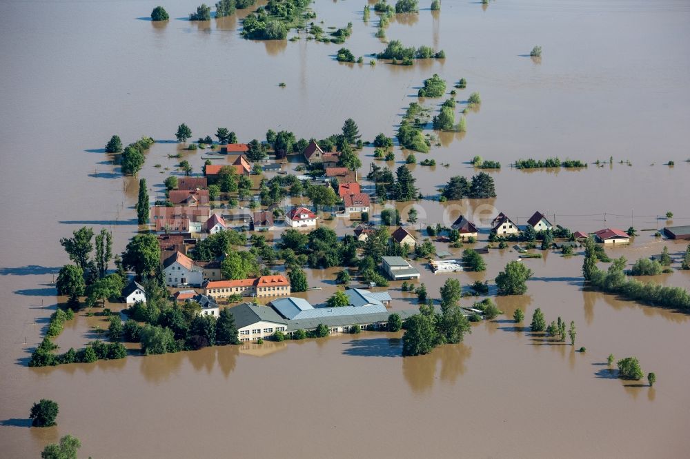 Luftbild Dresden - Situation während und nach dem Hochwasser am Ufer der Elbe im Stadtteil Tolkewitz in Dresden im Bundesland Sachsen