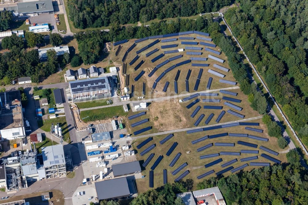 Luftaufnahme Eggenstein-Leopoldshafen - Solarkraftwerk und Photovoltaik- Anlagen in Eggenstein-Leopoldshafen im Bundesland Baden-Württemberg, Deutschland