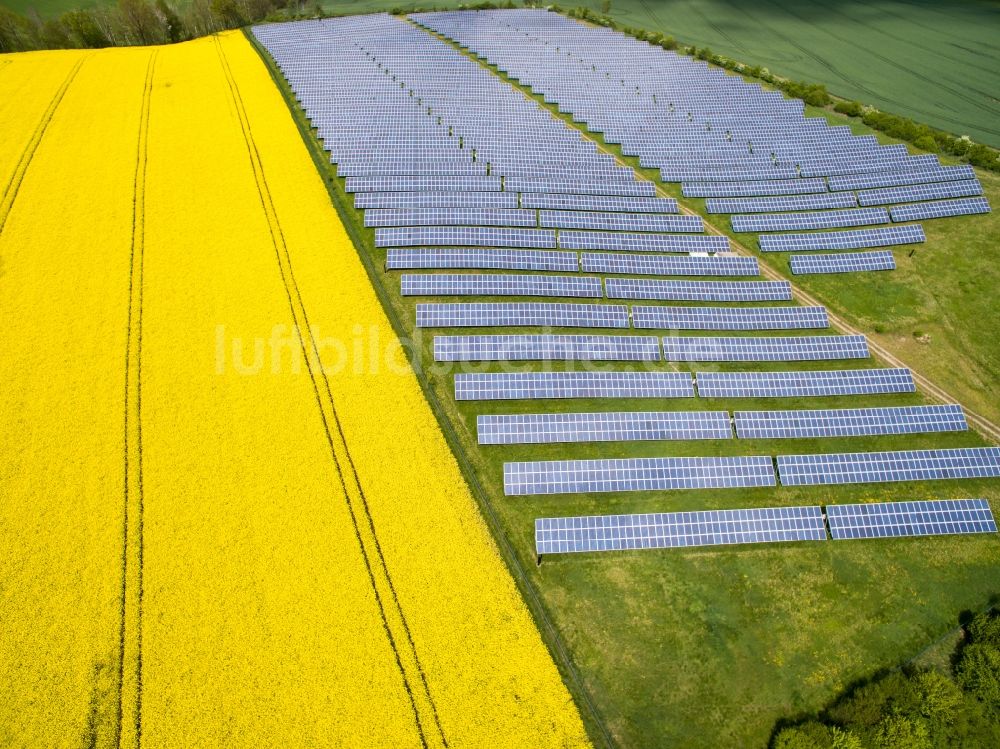 Polditz aus der Vogelperspektive: Solarkraftwerk und Photovoltaik- Anlagen in einem gelben Rapsfeld in Polditz im Bundesland Sachsen, Deutschland