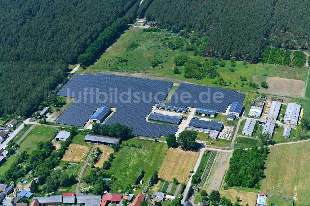 Luftaufnahme Solpke - Solarkraftwerk und Photovoltaik- Anlagen in Solpke im Bundesland Sachsen-Anhalt, Deutschland
