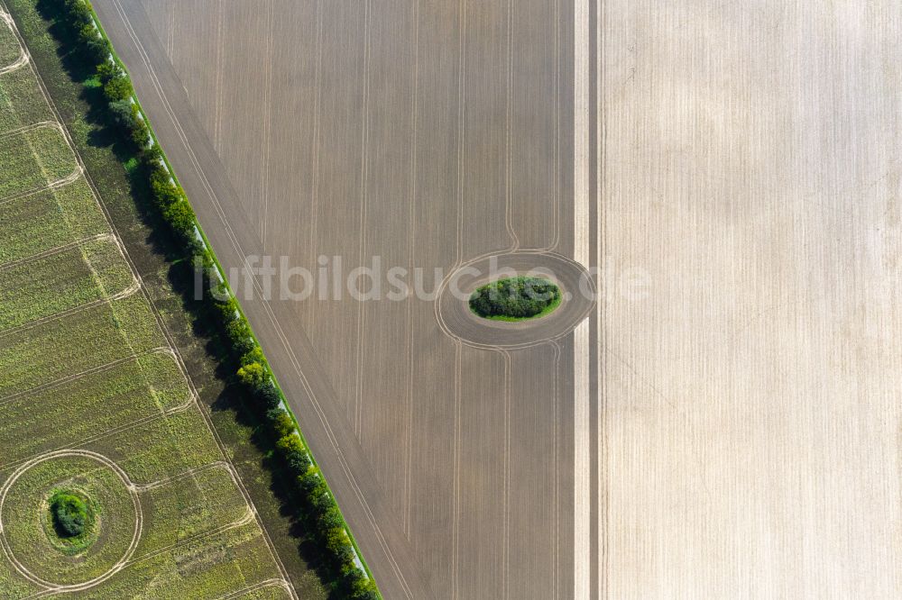 Luftbild Altenpleen - Soll Biotop in einem Feld in Altenpleen im Bundesland Mecklenburg-Vorpommern, Deutschland