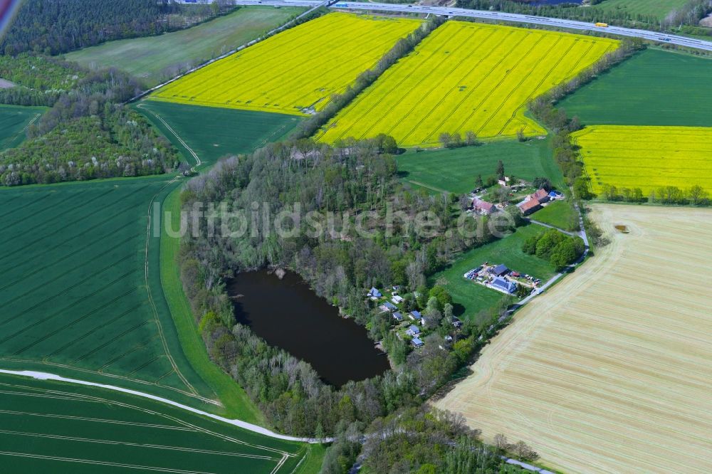 Luftbild Arnsdorf - Soll Biotop in einem Feld in Arnsdorf im Bundesland Sachsen, Deutschland