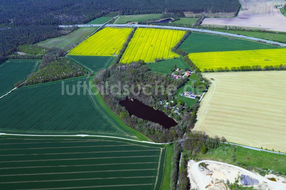 Luftaufnahme Arnsdorf - Soll Biotop in einem Feld in Arnsdorf im Bundesland Sachsen, Deutschland