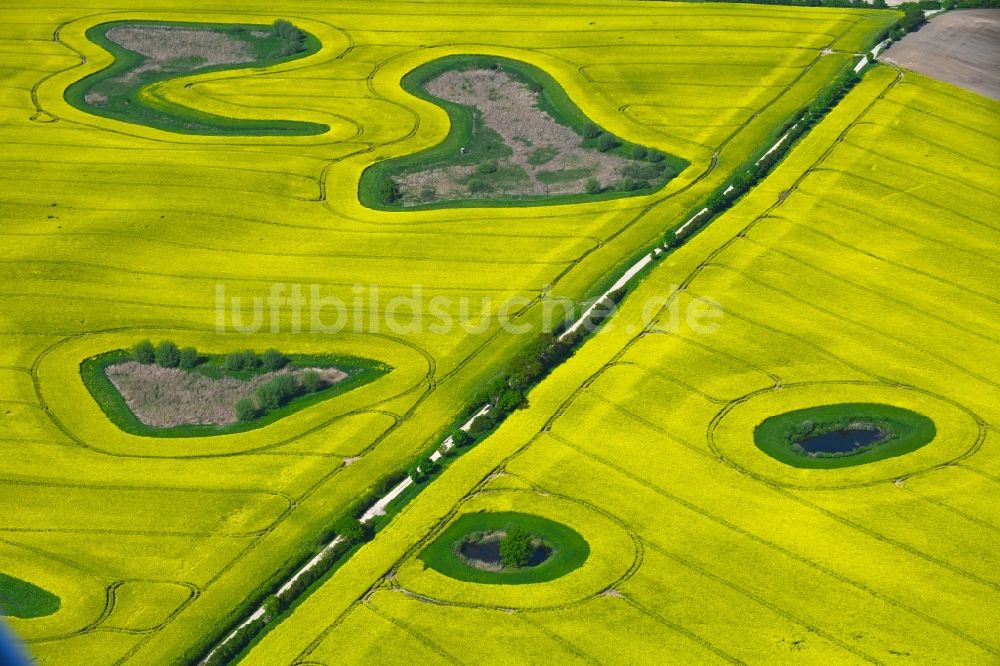 Schwinkendorf aus der Vogelperspektive: Soll Biotop in einem Feld mit gelben Raps - Anbau in Schwinkendorf im Bundesland Mecklenburg-Vorpommern, Deutschland