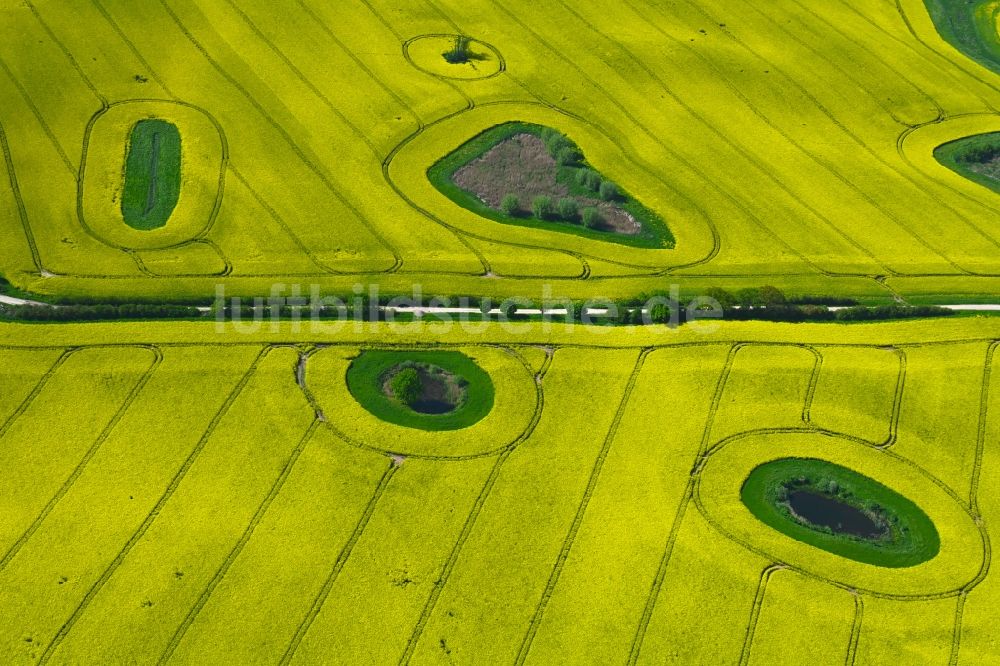 Luftbild Schwinkendorf - Soll Biotop in einem Feld mit gelben Raps - Anbau in Schwinkendorf im Bundesland Mecklenburg-Vorpommern, Deutschland