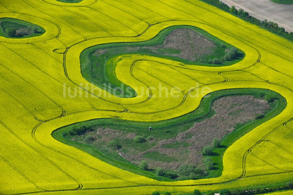 Luftaufnahme Schwinkendorf - Soll Biotop in einem Feld mit gelben Raps - Anbau in Schwinkendorf im Bundesland Mecklenburg-Vorpommern, Deutschland