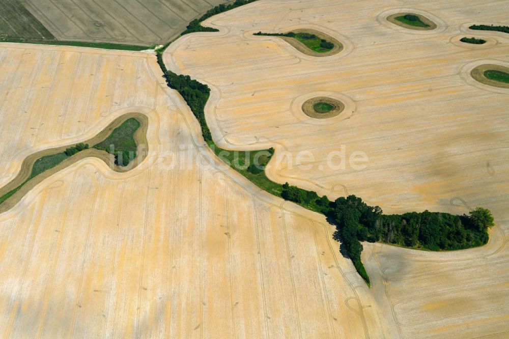 Luftbild Sarow - Soll Biotop in einem Feld nach der Ernte in Sarow im Bundesland Mecklenburg-Vorpommern, Deutschland