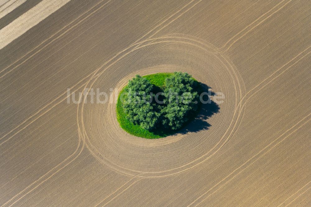 Luftaufnahme Neuenpleen - Soll Biotop in einem Feld in Neuenpleen im Bundesland Mecklenburg-Vorpommern, Deutschland