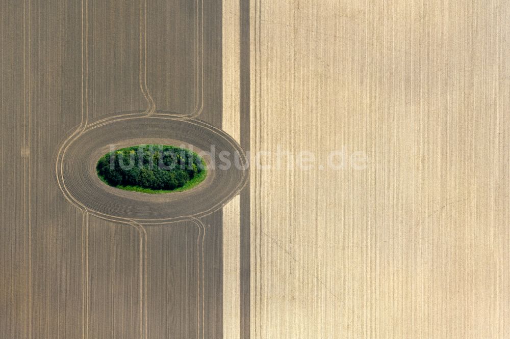 Luftbild Neuenpleen - Soll Biotop in einem Feld in Neuenpleen im Bundesland Mecklenburg-Vorpommern, Deutschland