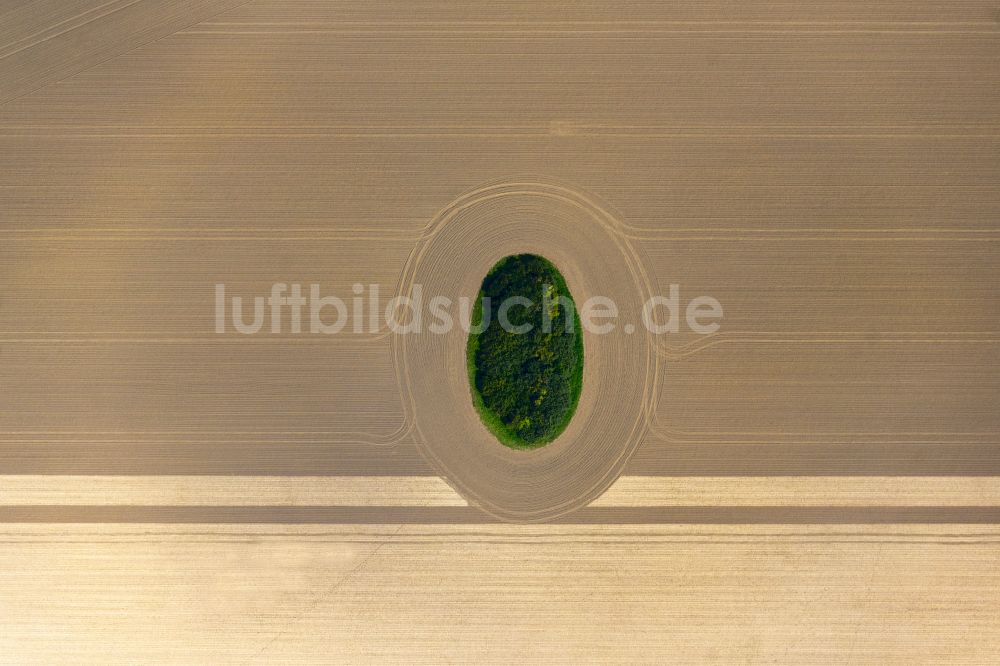 Luftaufnahme Neuenpleen - Soll Biotop in einem Feld in Neuenpleen im Bundesland Mecklenburg-Vorpommern, Deutschland