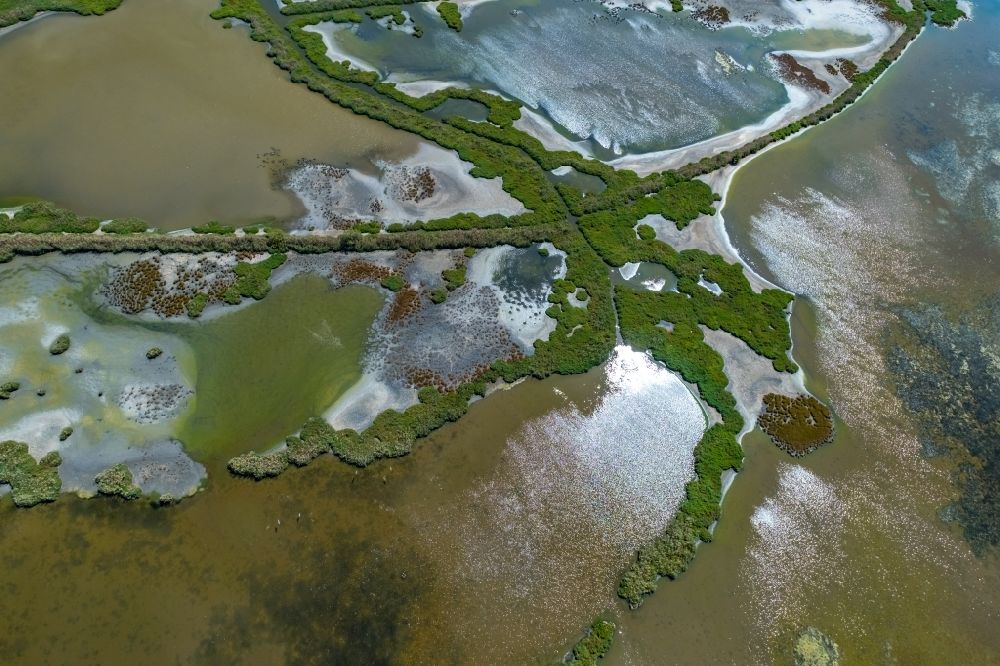 Luftbild Alcudia - Soll Biotop in einem Feld im Sumpfgebiet Albufereta in Alcudia in Balearische Inseln, Spanien