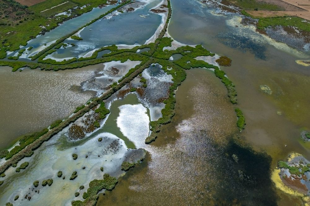 Luftaufnahme Alcudia - Soll Biotop in einem Feld im Sumpfgebiet Albufereta in Alcudia in Balearische Inseln, Spanien
