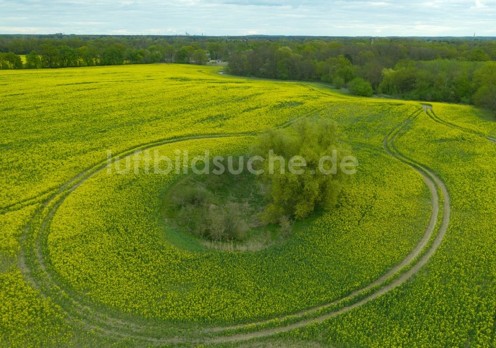 Prietzen von oben - Soll Biotop in der Feldoberfläche eines gelben Rapsfeldes in Prietzen im Bundesland Brandenburg, Deutschland