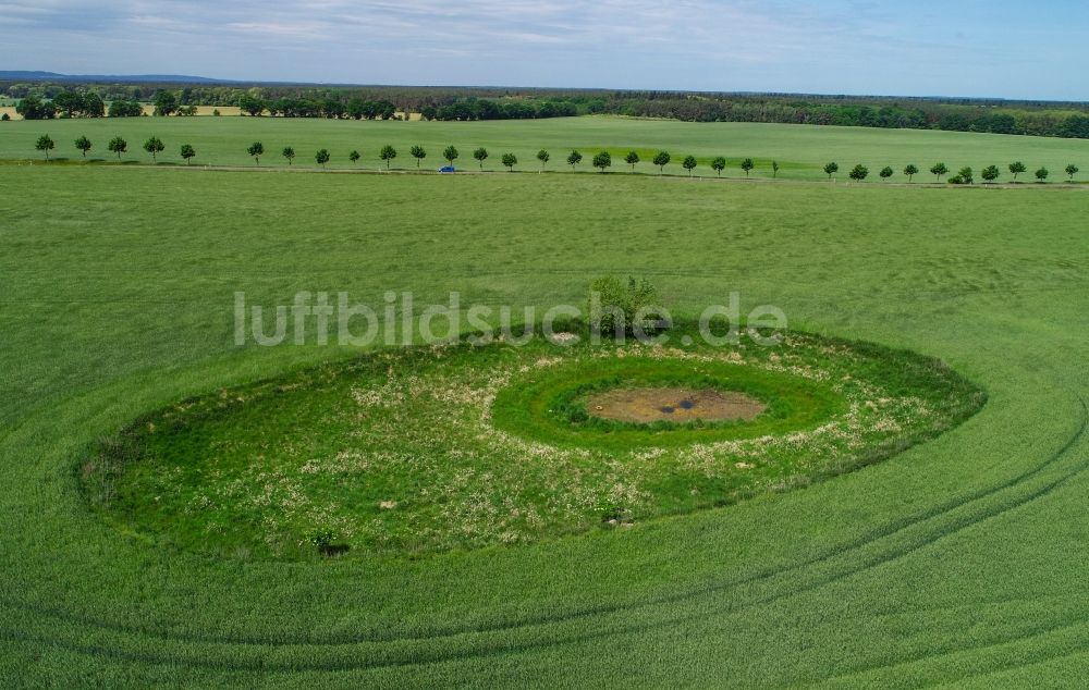 Luftbild Petersdorf - Soll Biotop in der Feldoberfläche eines grünen Getreidefeldes in Petersdorf im Bundesland Brandenburg, Deutschland