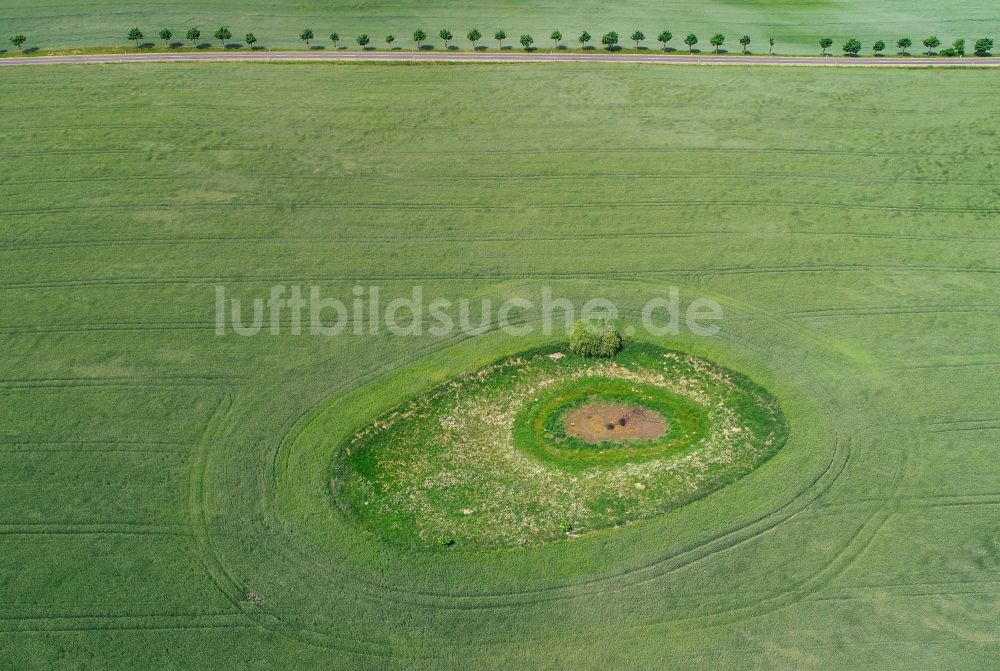 Luftaufnahme Petersdorf - Soll Biotop in der Feldoberfläche eines grünen Getreidefeldes in Petersdorf im Bundesland Brandenburg, Deutschland
