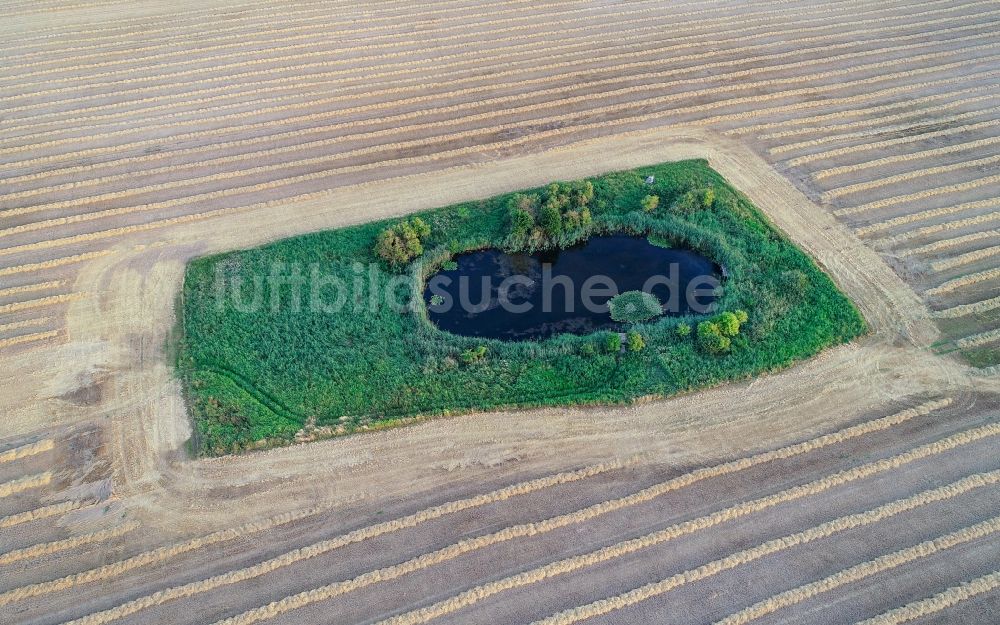 Petersdorf aus der Vogelperspektive: Soll Biotop in der Feldoberfläche in Petersdorf im Bundesland Brandenburg, Deutschland