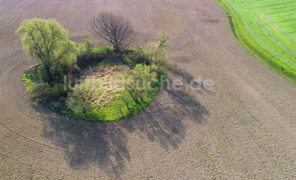 Luftaufnahme Sieversdorf - Soll Biotop in der Feldoberfläche in Sieversdorf im Bundesland Brandenburg, Deutschland