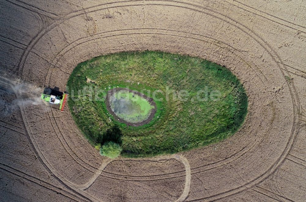 Luftaufnahme Petersdorf - Soll Biotop in der Feldoberfläche mit umrundenden Ernte- Mähdrescher in Petersdorf im Bundesland Brandenburg, Deutschland