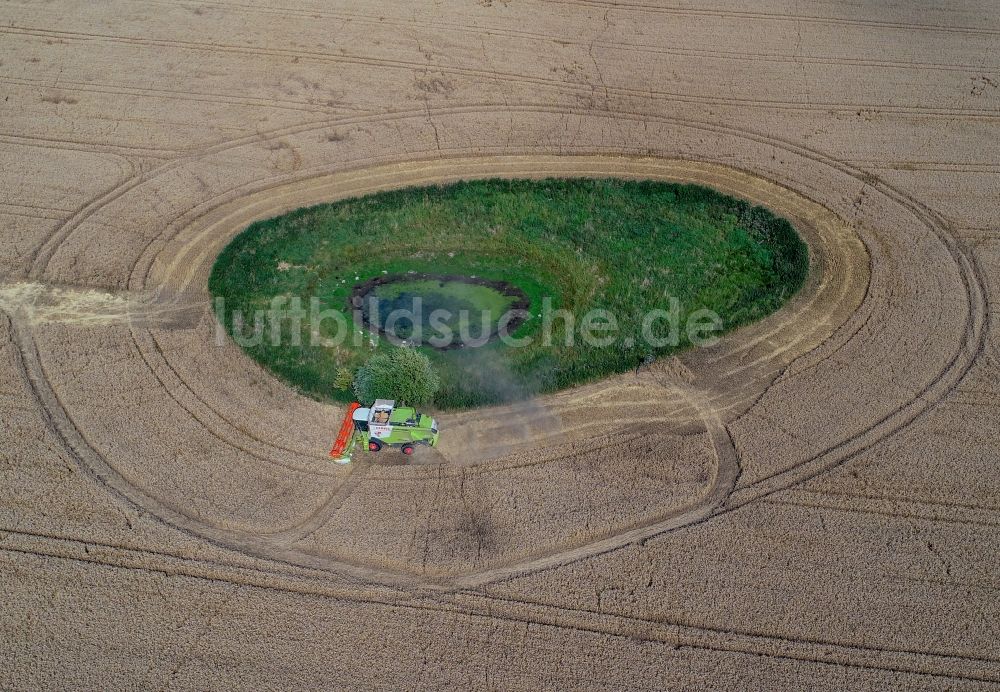 Petersdorf von oben - Soll Biotop in der Feldoberfläche mit umrundenden Ernte- Mähdrescher in Petersdorf im Bundesland Brandenburg, Deutschland