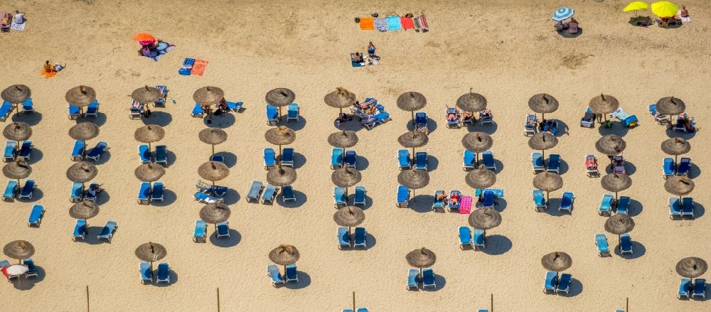 Luftaufnahme Calvia - Sonnenschirm- Reihen am Sand- Strand im Küstenbereich Platja Gran de Torà in Calvia in Balearische Insel Mallorca, Spanien