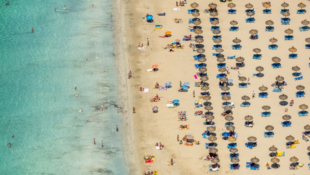 Calvia aus der Vogelperspektive: Sonnenschirm- Reihen am Sand- Strand im Küstenbereich Platja Gran de Torà in Calvia in Balearische Insel Mallorca, Spanien