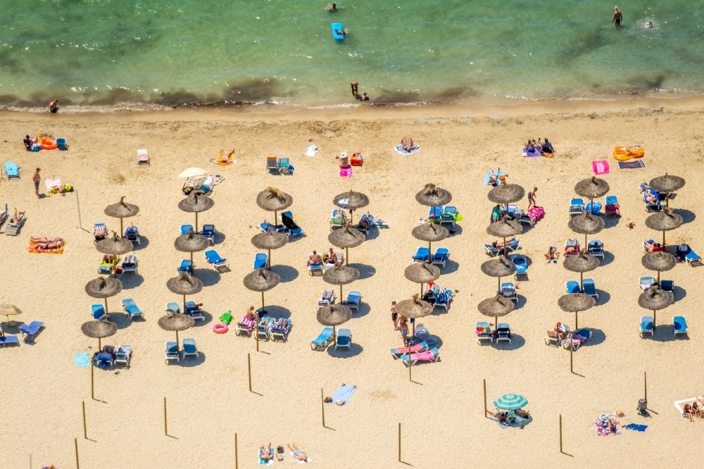 Calvia von oben - Sonnenschirm- Reihen am Sand- Strand im Küstenbereich Platja Gran de Torà in Calvia in Balearische Insel Mallorca, Spanien