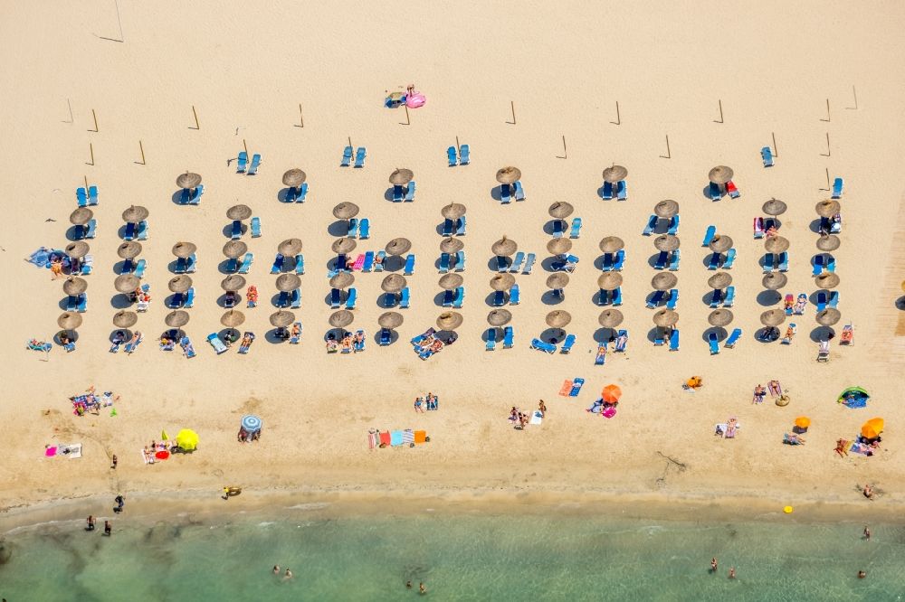 Luftbild Calvia - Sonnenschirm- Reihen am Sand- Strand im Küstenbereich Platja Gran de Torà in Calvia in Balearische Insel Mallorca, Spanien