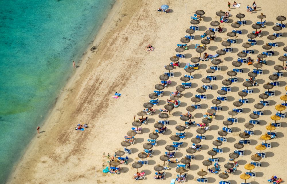 Calvia aus der Vogelperspektive: Sonnenschirm- Reihen am Sand- Strand im Küstenbereich Platja Gran de Tora in Calvia in Balearische Insel Mallorca, Spanien