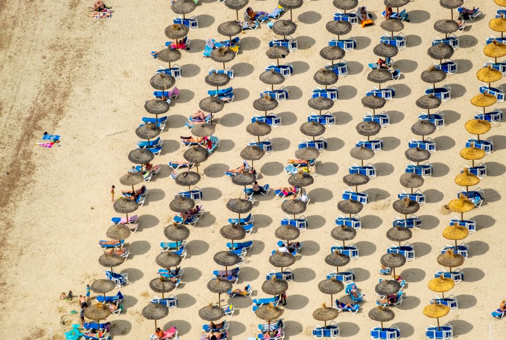 Luftbild Calvia - Sonnenschirm- Reihen am Sand- Strand im Küstenbereich Platja Gran de Tora in Calvia in Balearische Insel Mallorca, Spanien
