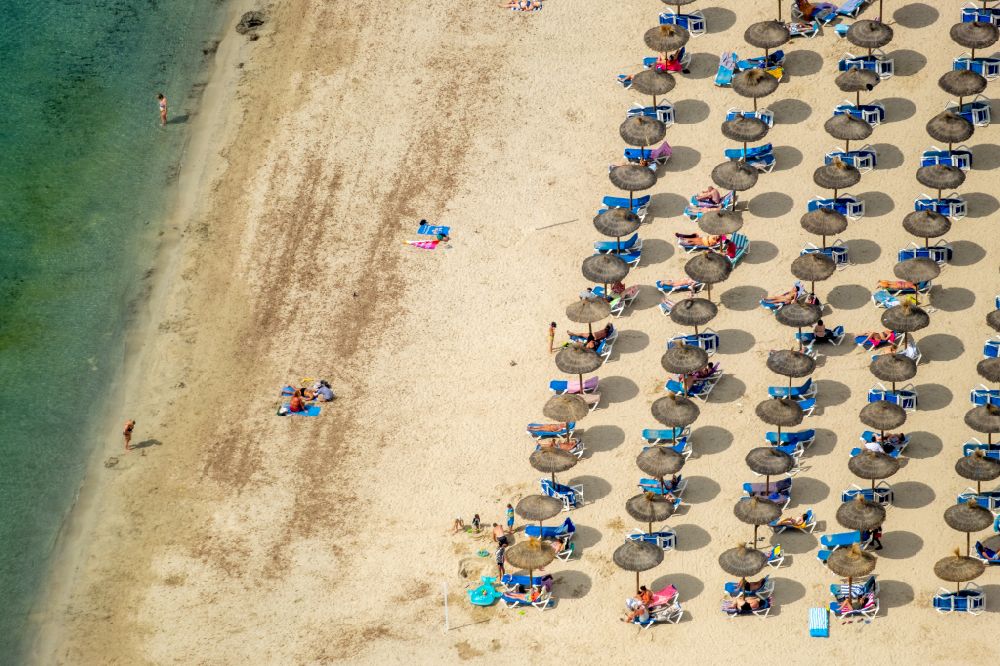 Luftaufnahme Calvia - Sonnenschirm- Reihen am Sand- Strand im Küstenbereich Platja Gran de Tora in Calvia in Balearische Insel Mallorca, Spanien