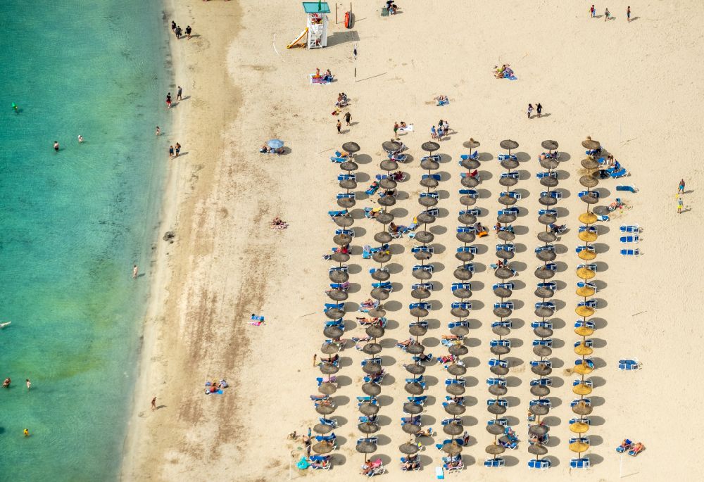 Calvia von oben - Sonnenschirm- Reihen am Sand- Strand im Küstenbereich Platja Gran de Tora in Calvia in Balearische Insel Mallorca, Spanien
