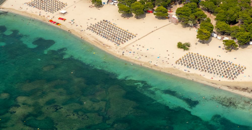 Calvia aus der Vogelperspektive: Sonnenschirm- Reihen am Sand- Strand im Küstenbereich Platja Gran de Tora in Calvia in Balearische Insel Mallorca, Spanien