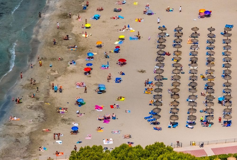 Luftaufnahme Badia de Palma - Sonnenschirmreihen am Sand- Strand im Küstenbereich der Bucht in Peguera in Balearische Insel Mallorca, Spanien