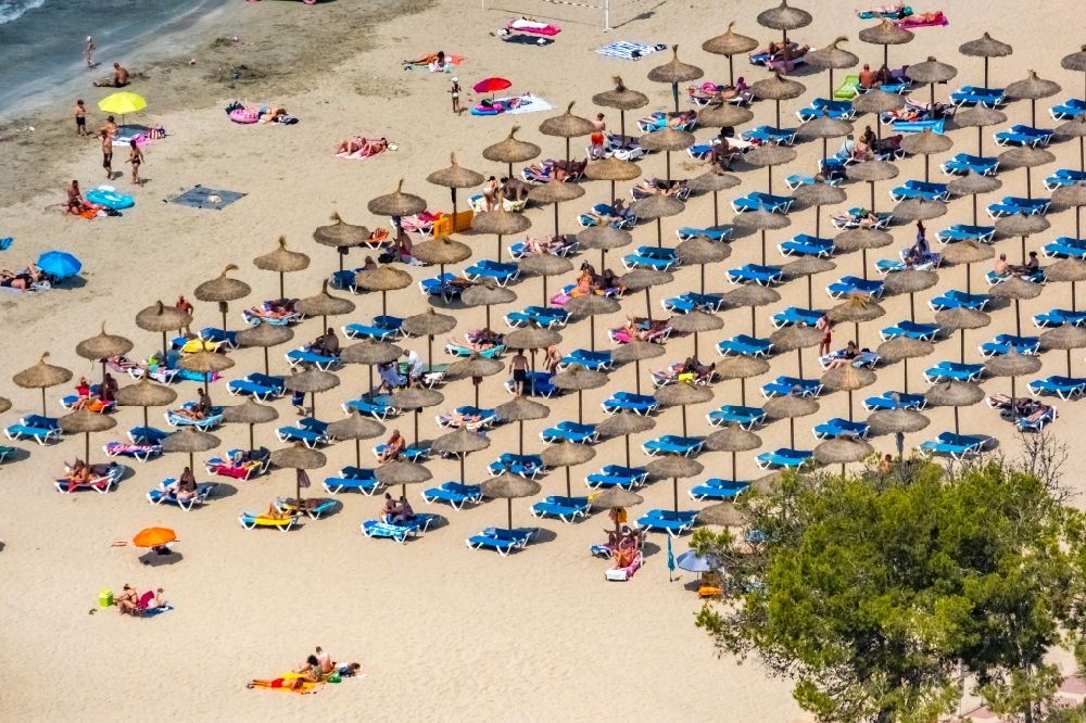Badia de Palma von oben - Sonnenschirmreihen am Sand- Strand im Küstenbereich der Bucht in Peguera in Balearische Insel Mallorca, Spanien
