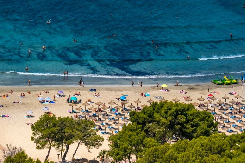 Luftbild Badia de Palma - Sonnenschirmreihen am Sand- Strand im Küstenbereich der Bucht in Peguera in Balearische Insel Mallorca, Spanien