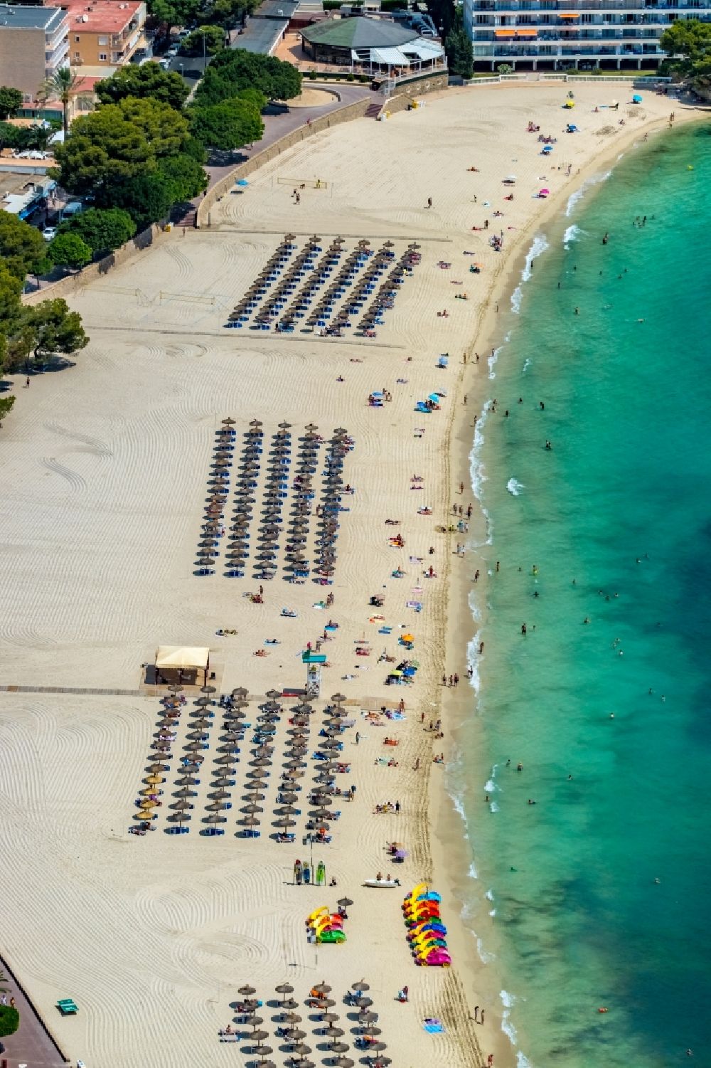 Palmanova aus der Vogelperspektive: Sonnenschirmreihen am Sand- Strand im Küstenbereich des Palmanova Beach - Platja de na Nadala in Palmanova in Balearische Insel Mallorca, Spanien