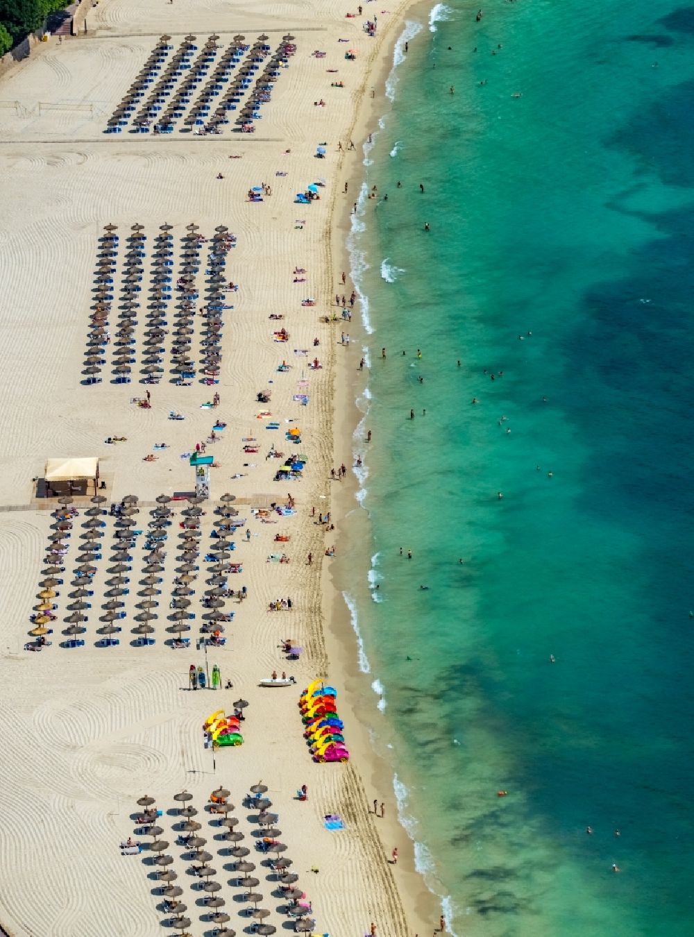 Luftbild Palmanova - Sonnenschirmreihen am Sand- Strand im Küstenbereich des Palmanova Beach - Platja de na Nadala in Palmanova in Balearische Insel Mallorca, Spanien