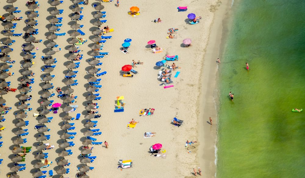 Peguera von oben - Sonnenschirmreihen am Sand- Strand im Küstenbereich des Platja Palmira entlang der Promenade des Bulevar de Peguera in Peguera in Balearische Insel Mallorca, Spanien